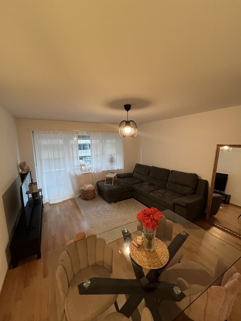 2 Zimmer-Wohnung, 6003 Luzern (6)