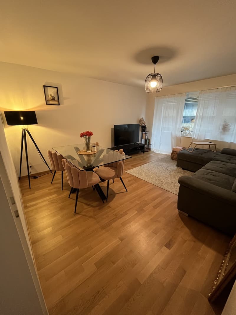 2 Zimmer-Wohnung, 6003 Luzern (1)