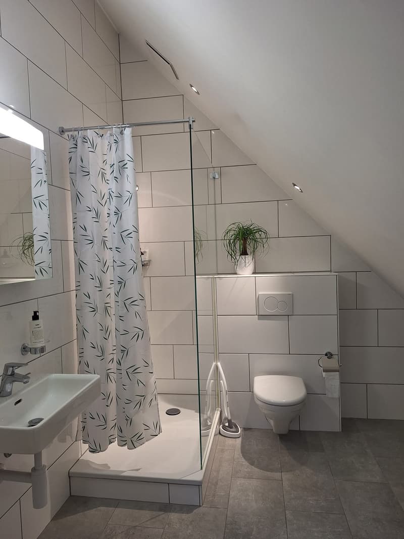 Wunderschöne 2.5-Zimmer-Dachwohnung nahe Bahnhof Dietikon (3)