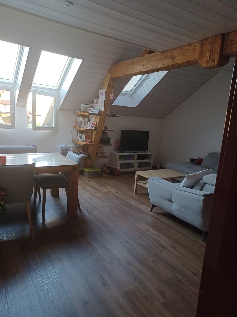 Duplex 2,5 pièces (3)