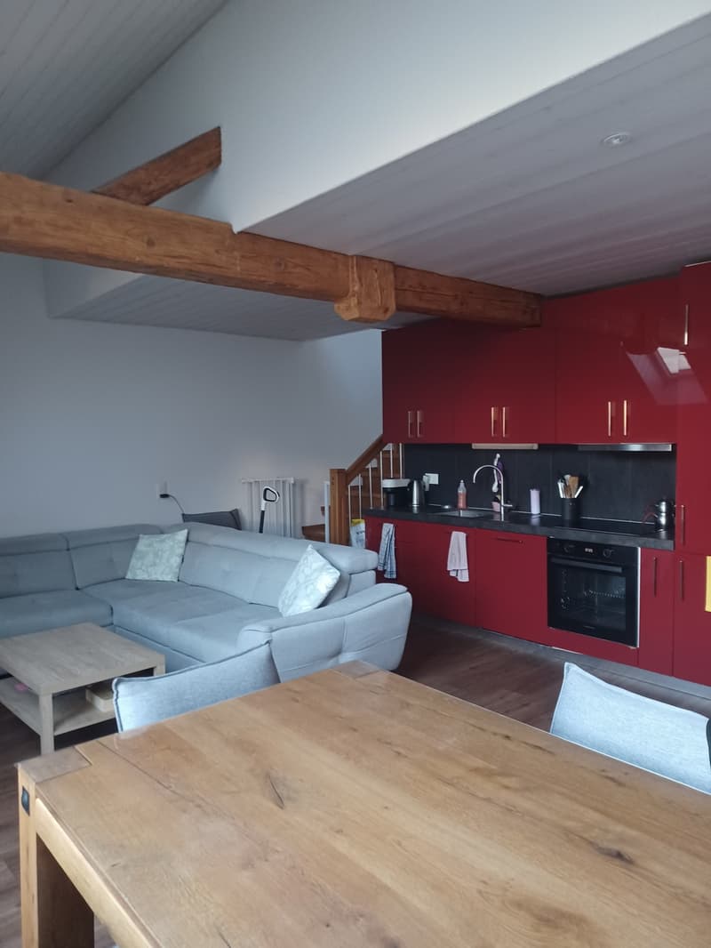 Duplex 2,5 pièces (1)