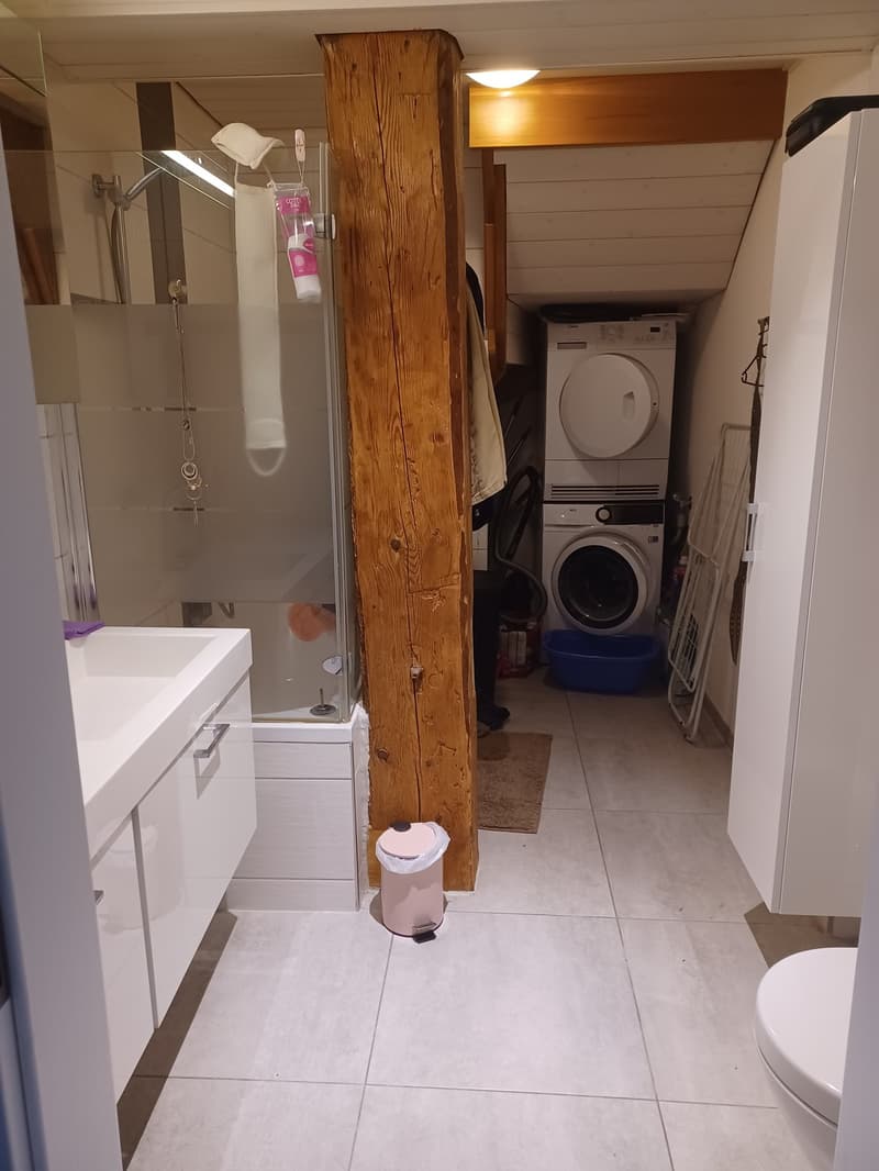 Duplex 2,5 pièces (5)