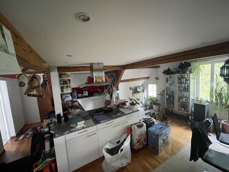 5 ½ Zimmer-Wohnung, 8820 Wädenswil (6)
