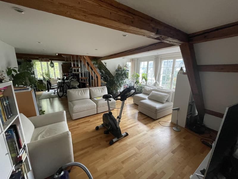 5 ½ Zimmer-Wohnung, 8820 Wädenswil (3)