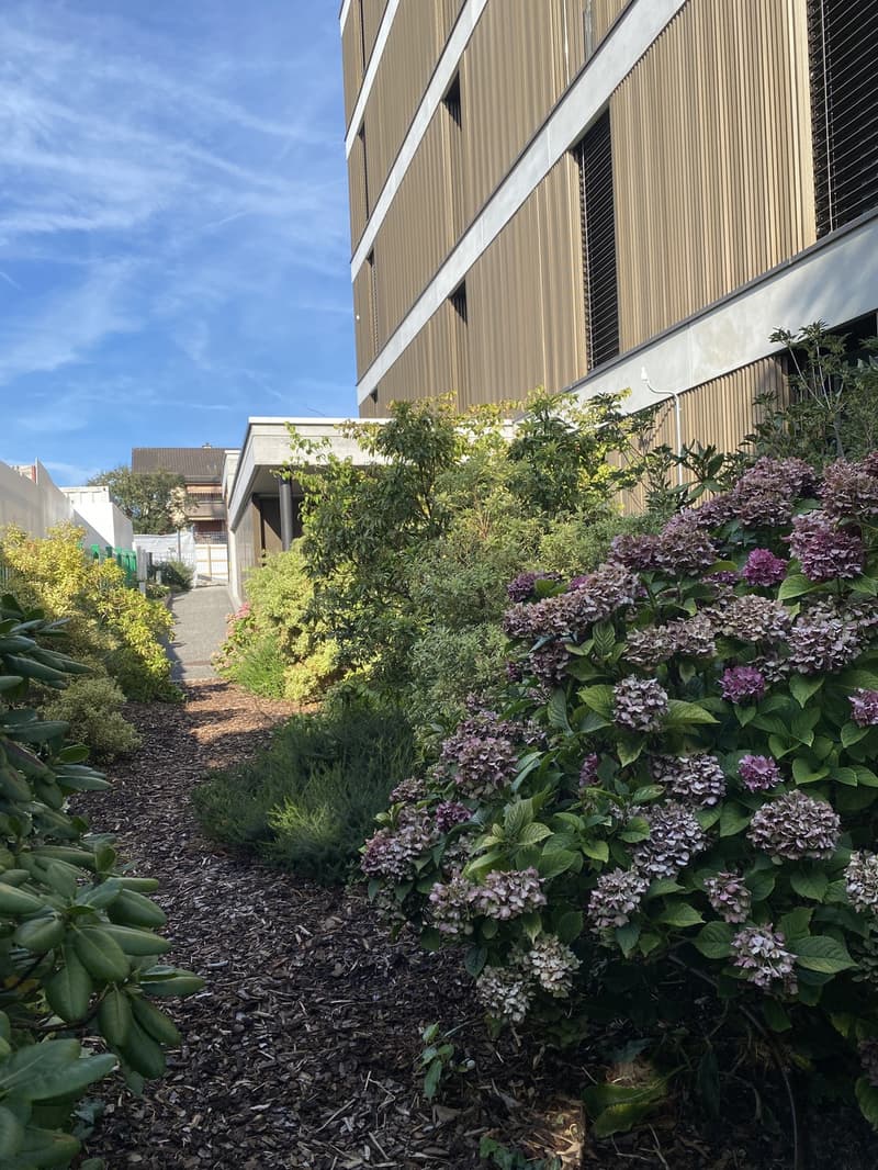 WG-Zimmer in 4,5 Zimmer-Wohnung mit Garten und eigenem Badezimmer (11)