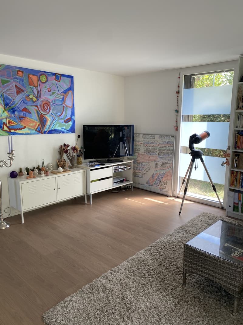WG-Zimmer in 4,5 Zimmer-Wohnung mit Garten und eigenem Badezimmer (8)
