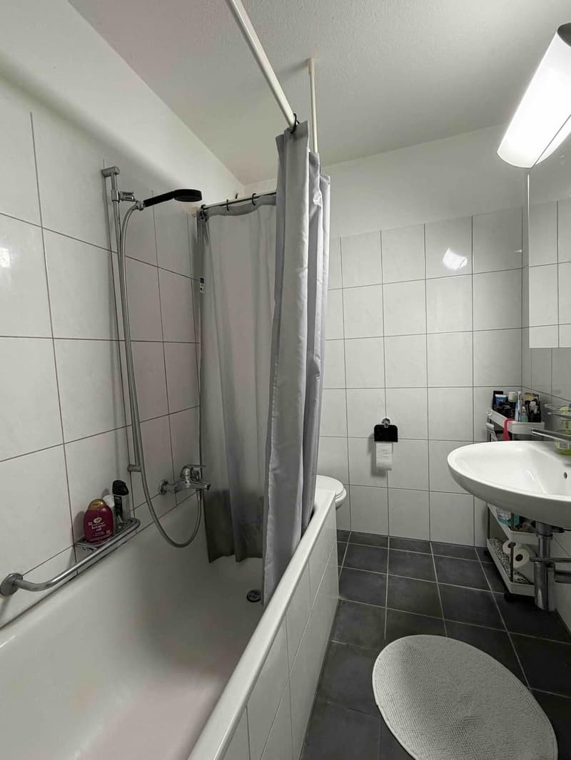 Attikawohnung mit 180 Grad toller See- und Fernsicht in die Berge in Oberrieden - 4.5 Zimmer (8)