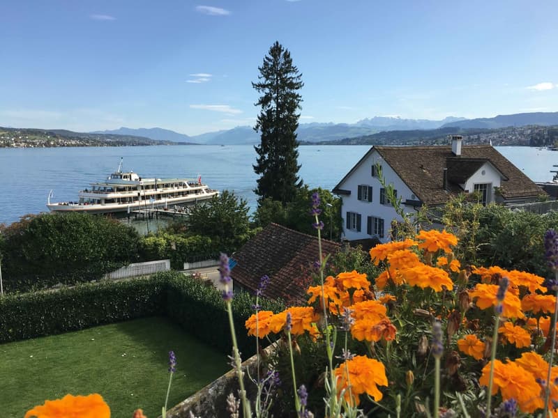 Attikawohnung mit 180 Grad toller See- und Fernsicht in die Berge in Oberrieden - 4.5 Zimmer (2)
