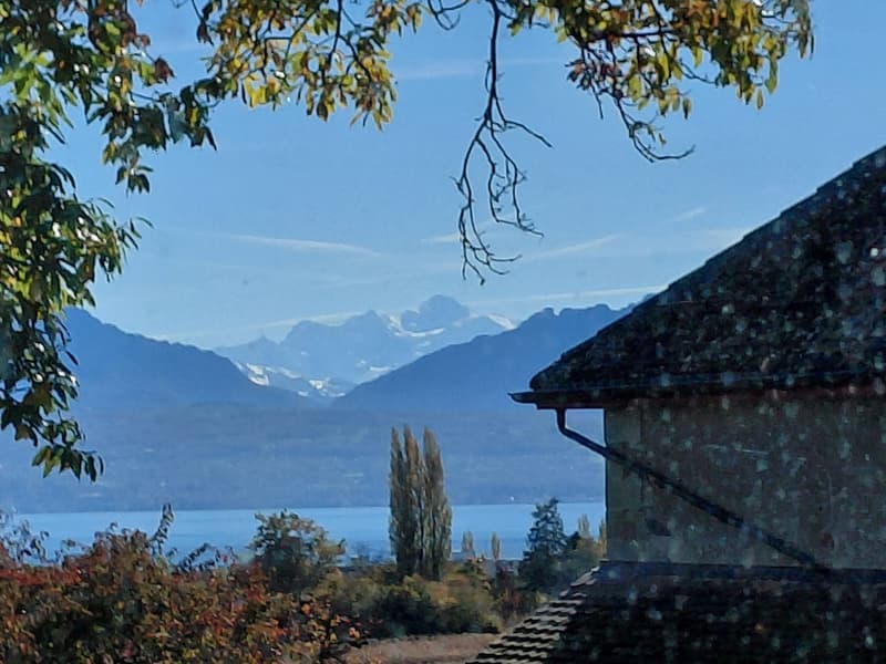 Chambre privative de 40 m² dans une colocation d'exception de deux maisons à Chigny sur Morges (13)