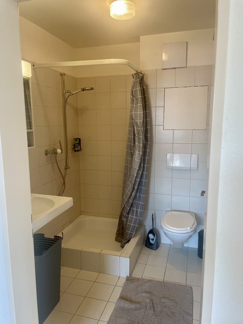 2-Zimmerwohnung in Benzenschwil unter CHF 1000. (2)