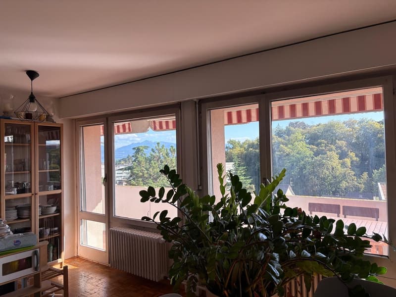 Magnifique 3,5 pièces avec vue panoramique Lac & Mont-Blanc Morges (2)