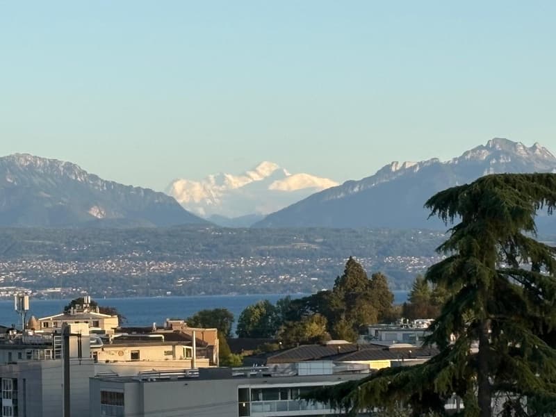 Magnifique 3,5 pièces avec vue panoramique Lac & Mont-Blanc Morges (8)