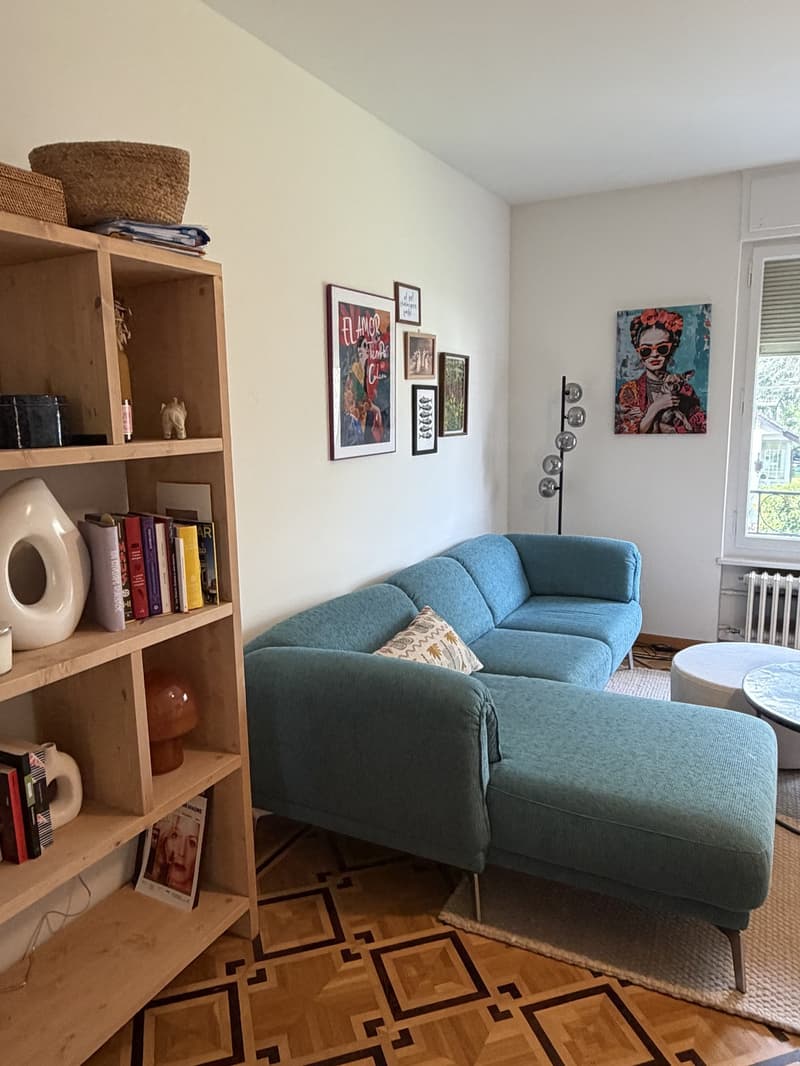 REPRISE DE BAIL APPARTEMENT 3.5 PIÈCES CHÊNE-BOURG (7)