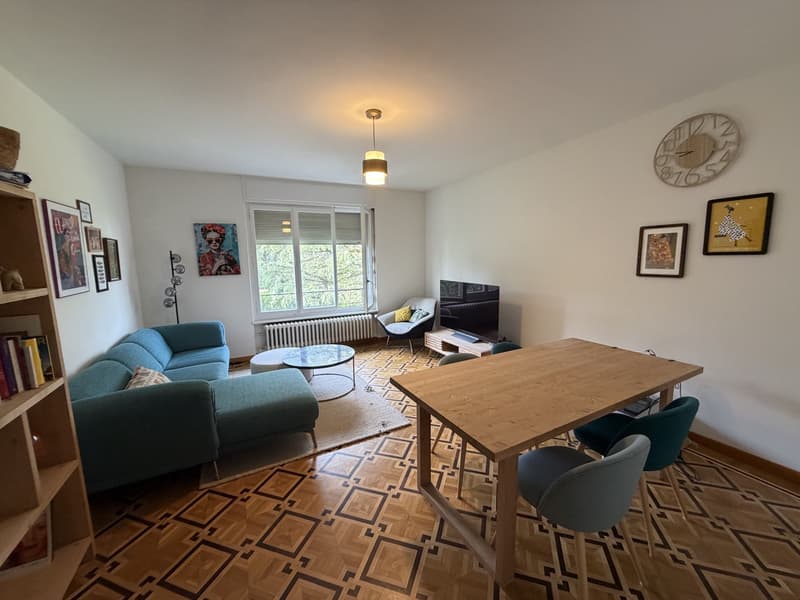 REPRISE DE BAIL APPARTEMENT 3.5 PIÈCES CHÊNE-BOURG (1)