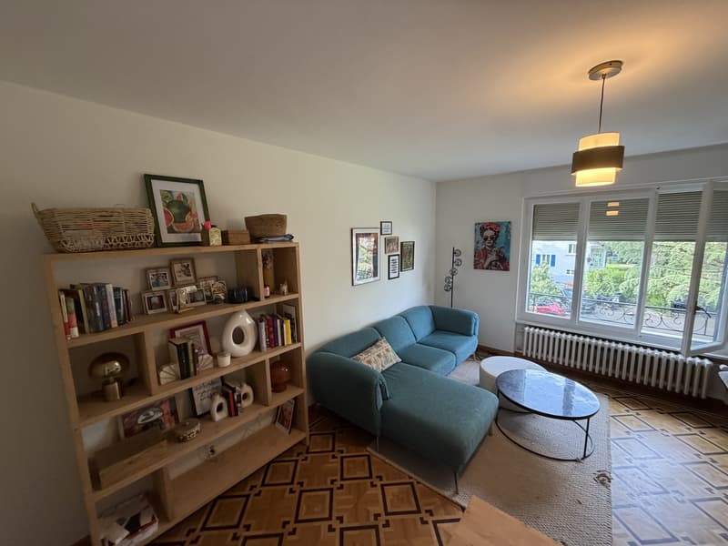 REPRISE DE BAIL APPARTEMENT 3.5 PIÈCES CHÊNE-BOURG (9)