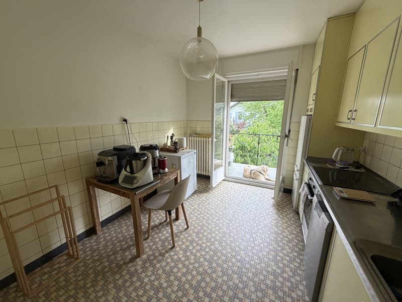 REPRISE DE BAIL APPARTEMENT 3.5 PIÈCES CHÊNE-BOURG (6)