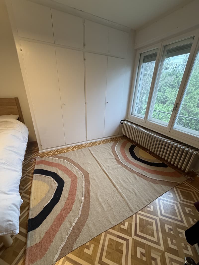 REPRISE DE BAIL APPARTEMENT 3.5 PIÈCES CHÊNE-BOURG (3)