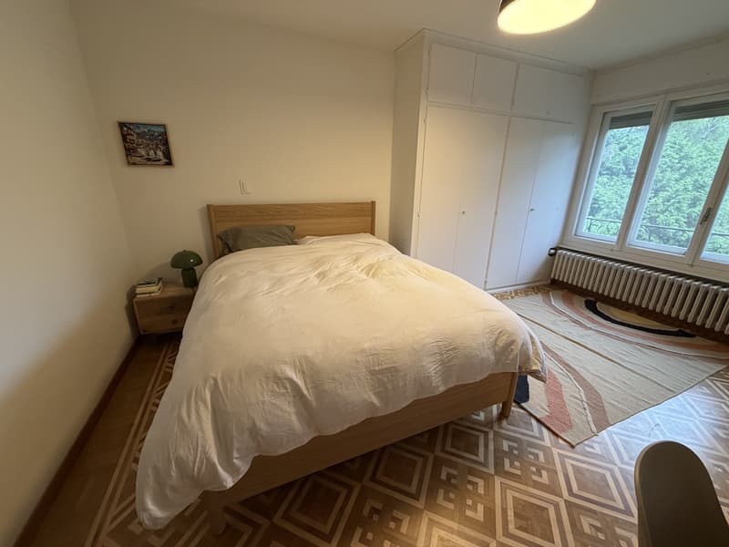 REPRISE DE BAIL APPARTEMENT 3.5 PIÈCES CHÊNE-BOURG (10)