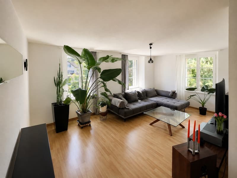 4½-Zimmer-Wohnung in Hauptwil Nachmieter ab 05.11.2026 (6)