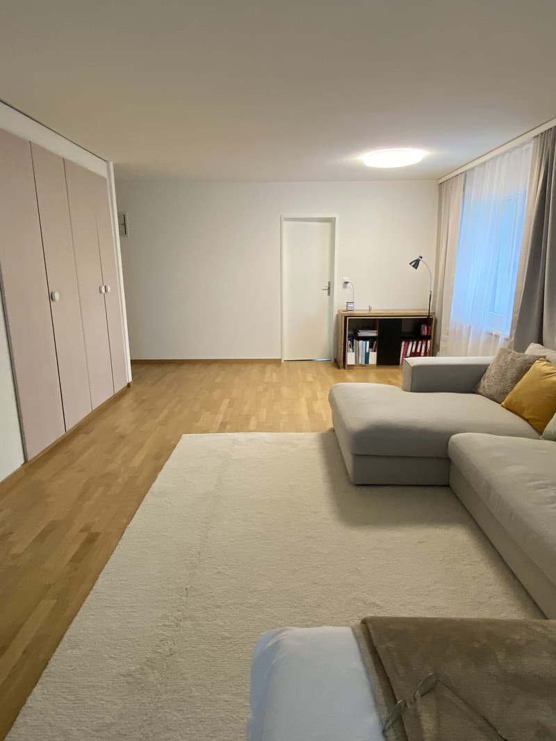 Helle 1.5-Zimmer- Wohnung mit grossem Balkon in ruhigen Lage (2)