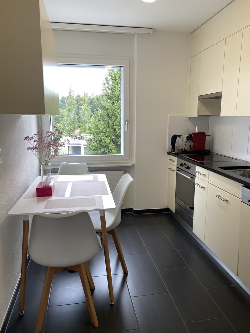 Helle 1.5-Zimmer- Wohnung mit grossem Balkon in ruhigen Lage (5)