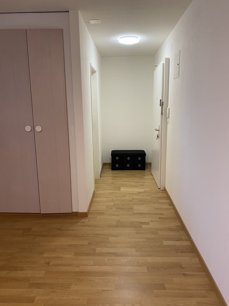 Helle 1.5-Zimmer- Wohnung mit grossem Balkon in ruhigen Lage (4)