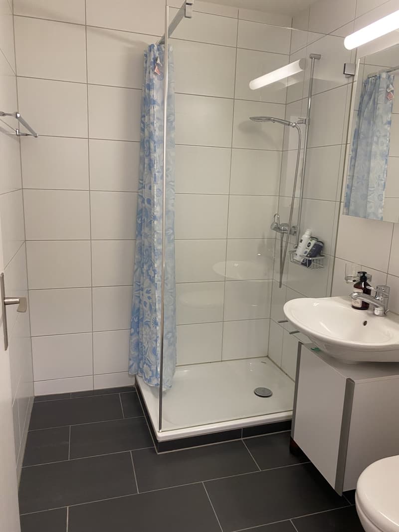 Helle 1.5-Zimmer- Wohnung mit grossem Balkon in ruhigen Lage (7)