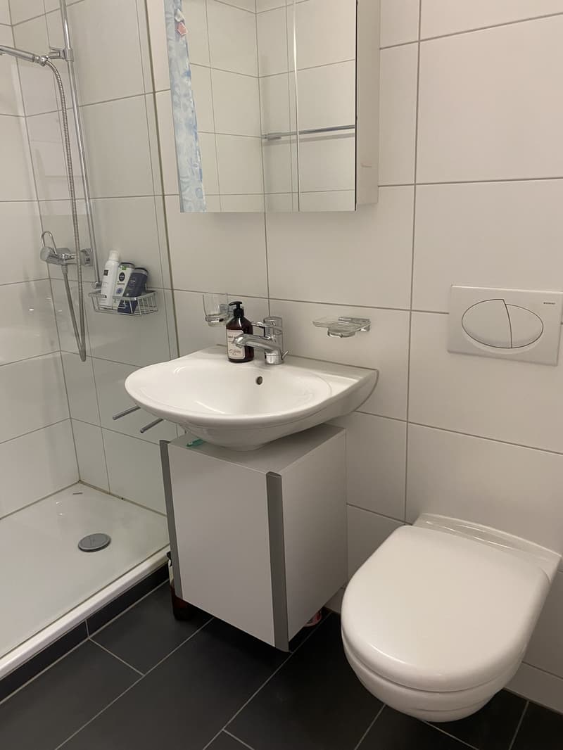 Helle 1.5-Zimmer- Wohnung mit grossem Balkon in ruhigen Lage (6)