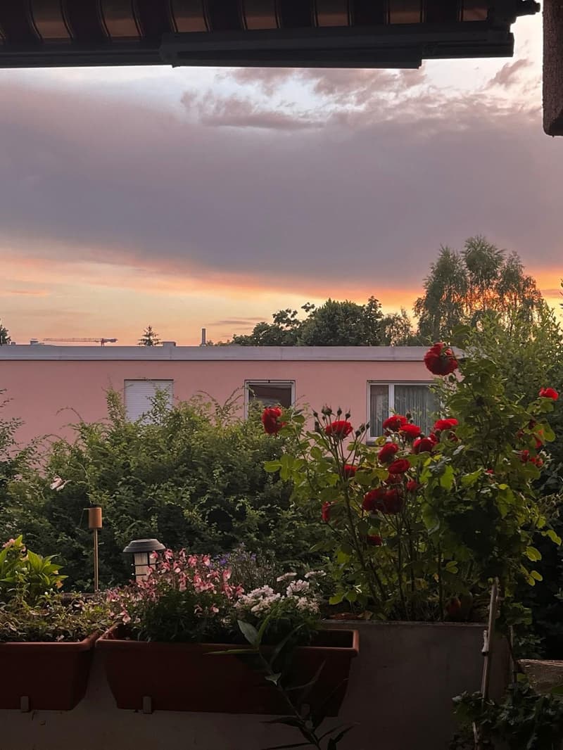 Rent a 3 ½ rooms apartment in Dübendorf (11)