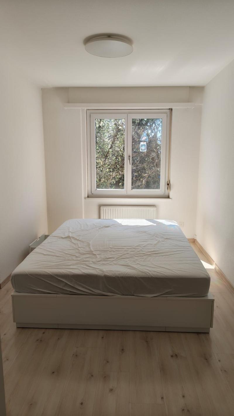 Rent a 3 ½ rooms apartment in Dübendorf (7)
