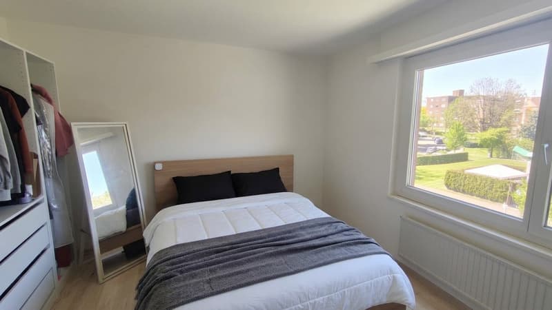 Rent a 3 ½ rooms apartment in Dübendorf (5)