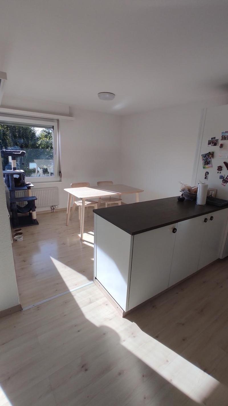 Rent a 3 ½ rooms apartment in Dübendorf (8)