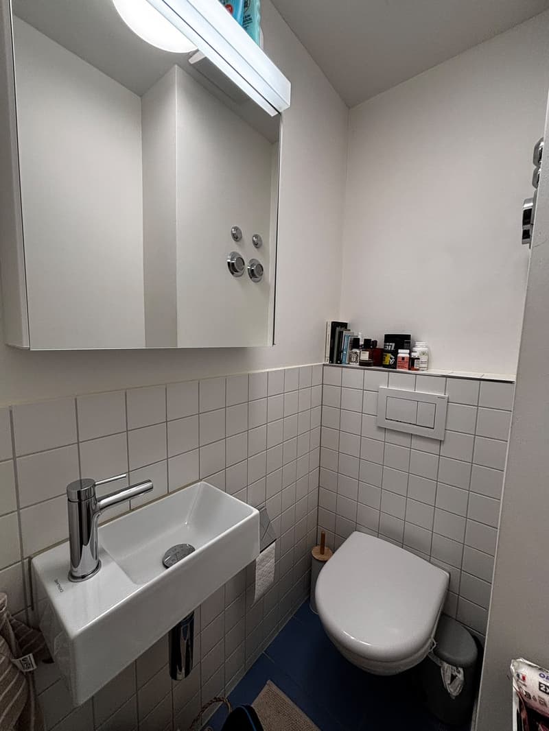 Helle 4.5-Zimmer-Wohnung in Enge  wohnen, wo Zürich am schönsten ist (8)