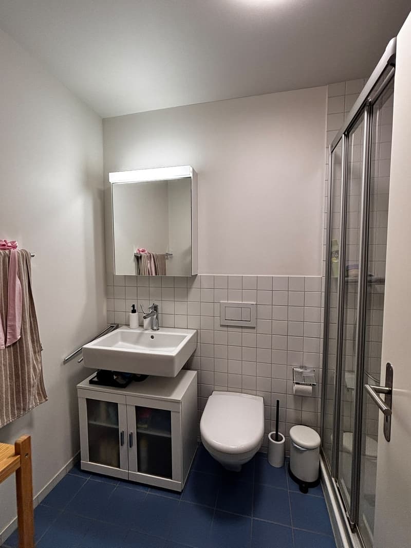Helle 4.5-Zimmer-Wohnung in Enge  wohnen, wo Zürich am schönsten ist (7)