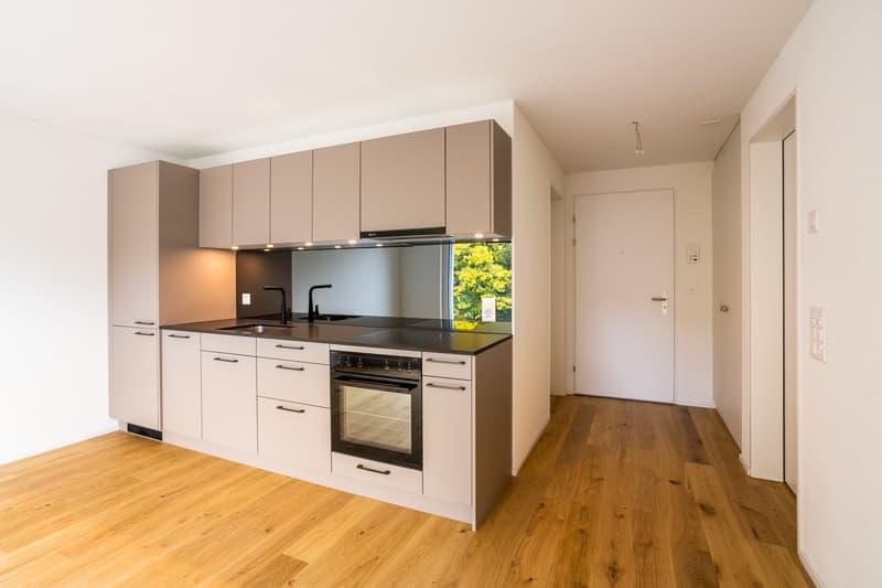 Wohnung an der Papiermühle in Bern (8)
