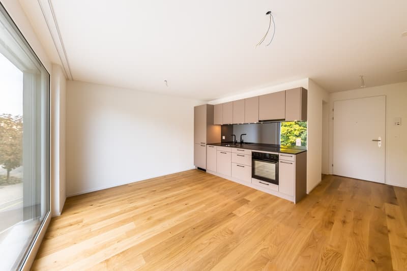 Wohnung an der Papiermühle in Bern (2)