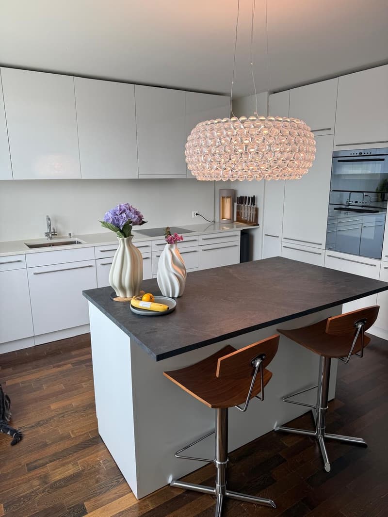 Private Room in a modern 130 m² Apartment in trendy Zurich West (4)