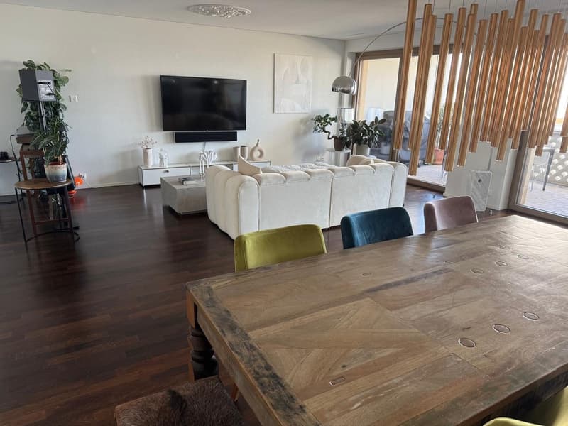 Private Room in a modern 130 m² Apartment in trendy Zurich West (5)