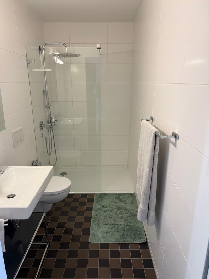 Private Room in a modern 130 m² Apartment in trendy Zurich West (3)