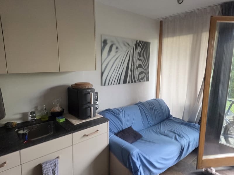 2.5-Room Apartment with Large Private Garden in Edlibach (5)