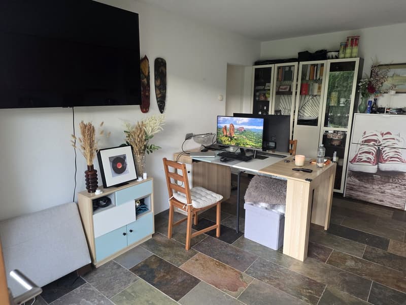 2.5-Room Apartment with Large Private Garden in Edlibach (6)