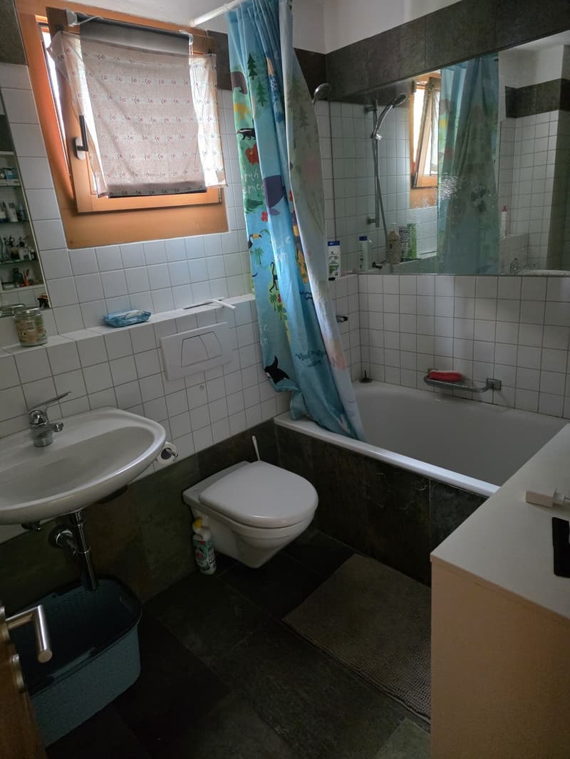 2.5-Room Apartment with Large Private Garden in Edlibach (4)