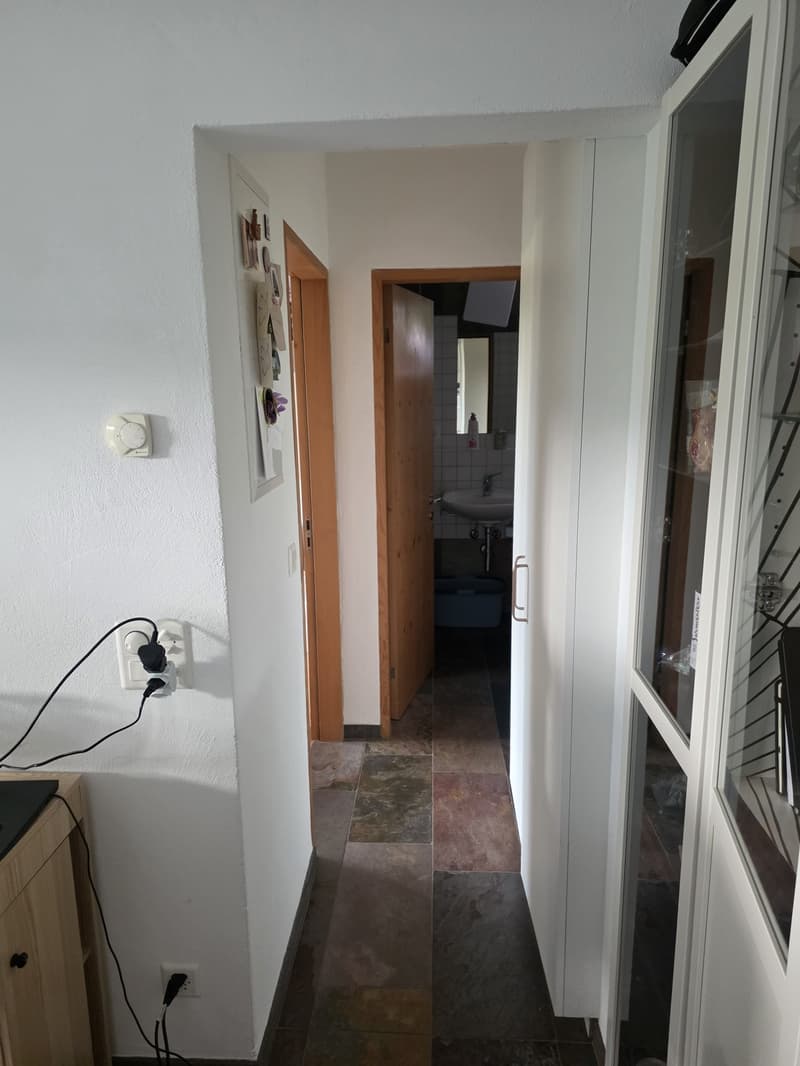 2.5-Room Apartment with Large Private Garden in Edlibach (2)