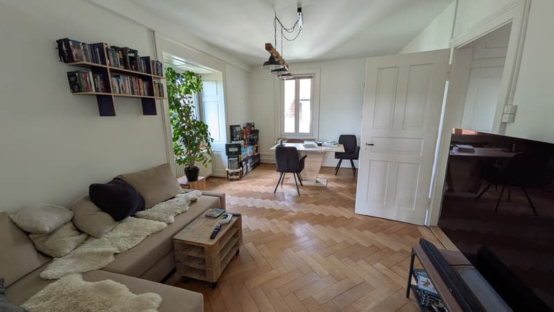 3 Zimmer Altbau Wohnung mit schöner Aussicht (1)