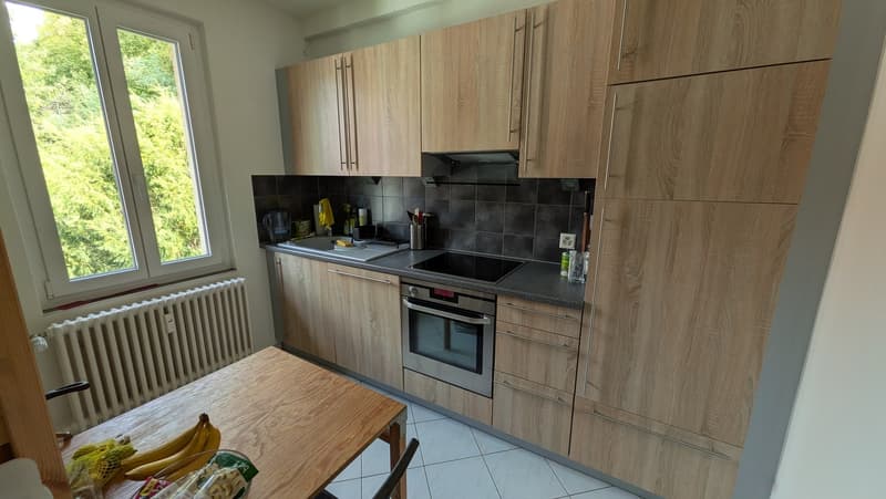 3 Zimmer Altbau Wohnung mit schöner Aussicht (6)