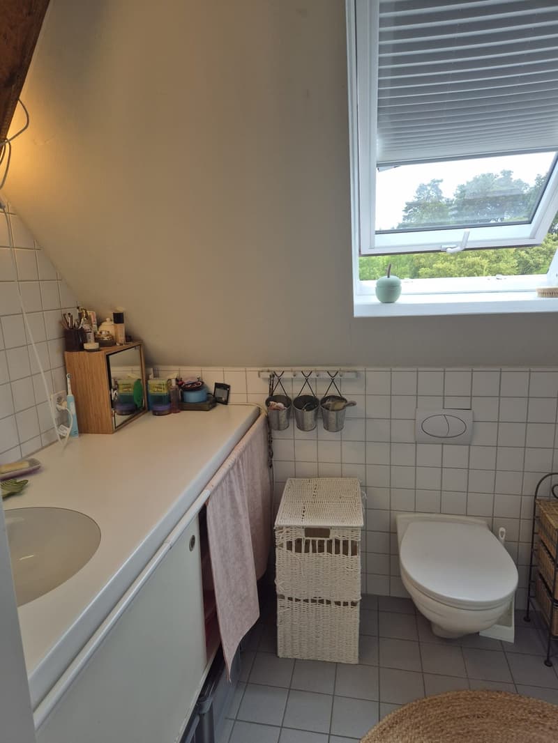 Appartement 4 ½ pièces, 8125 Zollikerberg (7)
