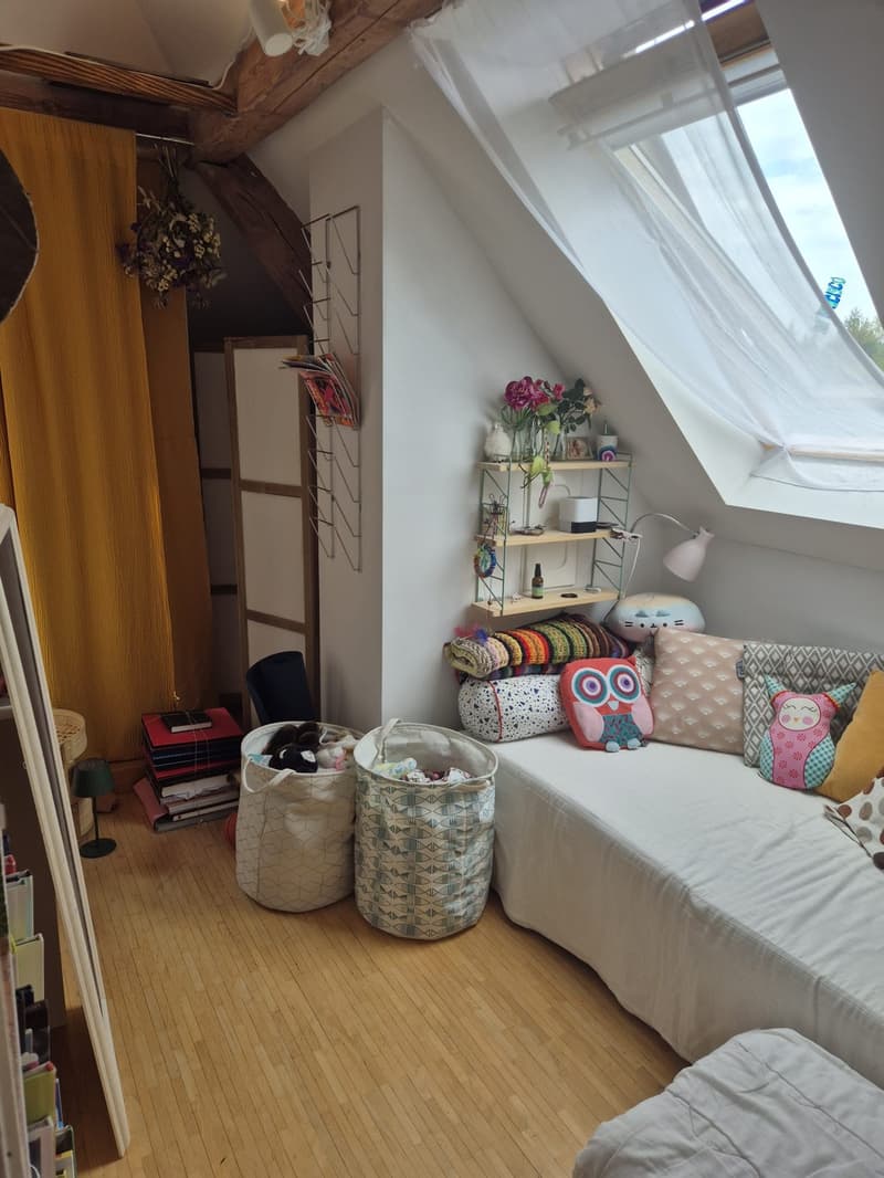 Appartement 4 ½ pièces, 8125 Zollikerberg (13)