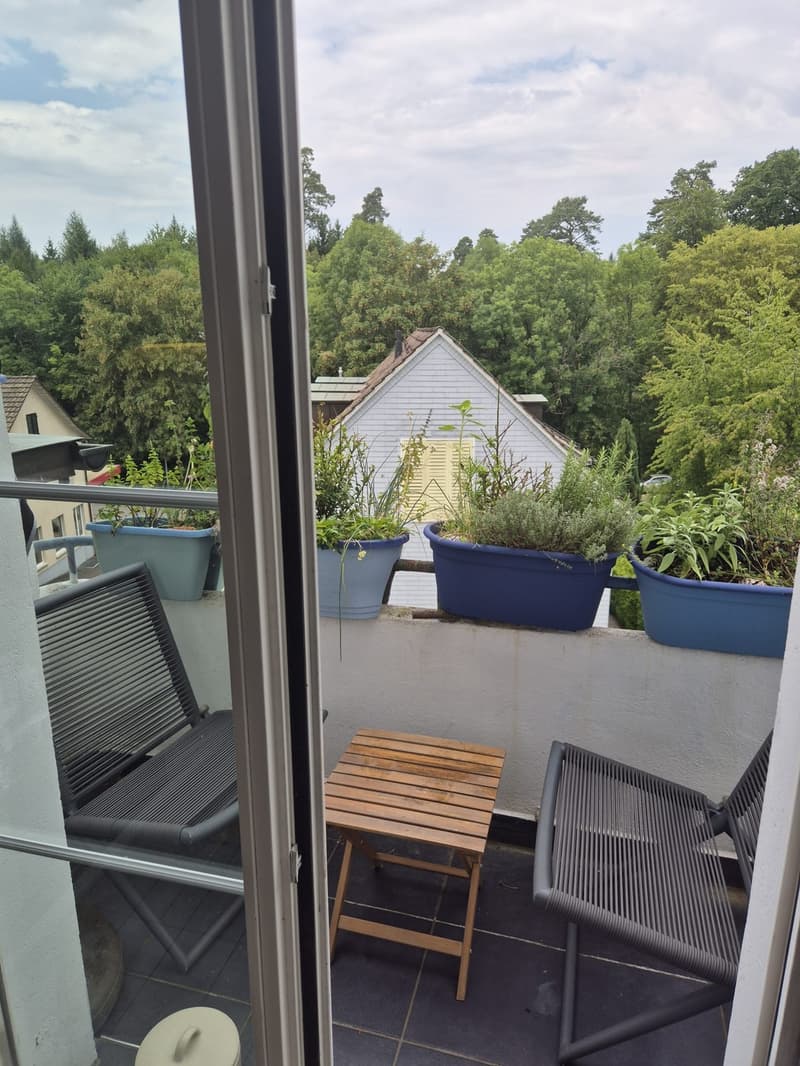 Appartement 4 ½ pièces, 8125 Zollikerberg (6)