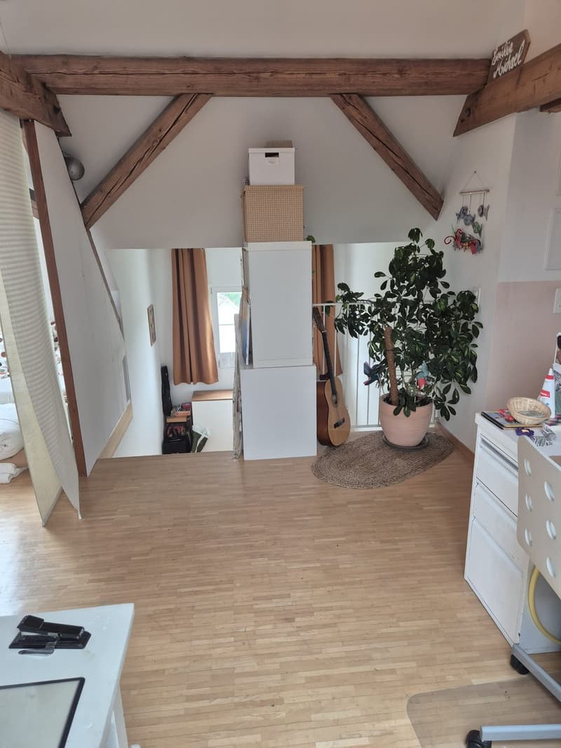 Appartement 4 ½ pièces, 8125 Zollikerberg (11)