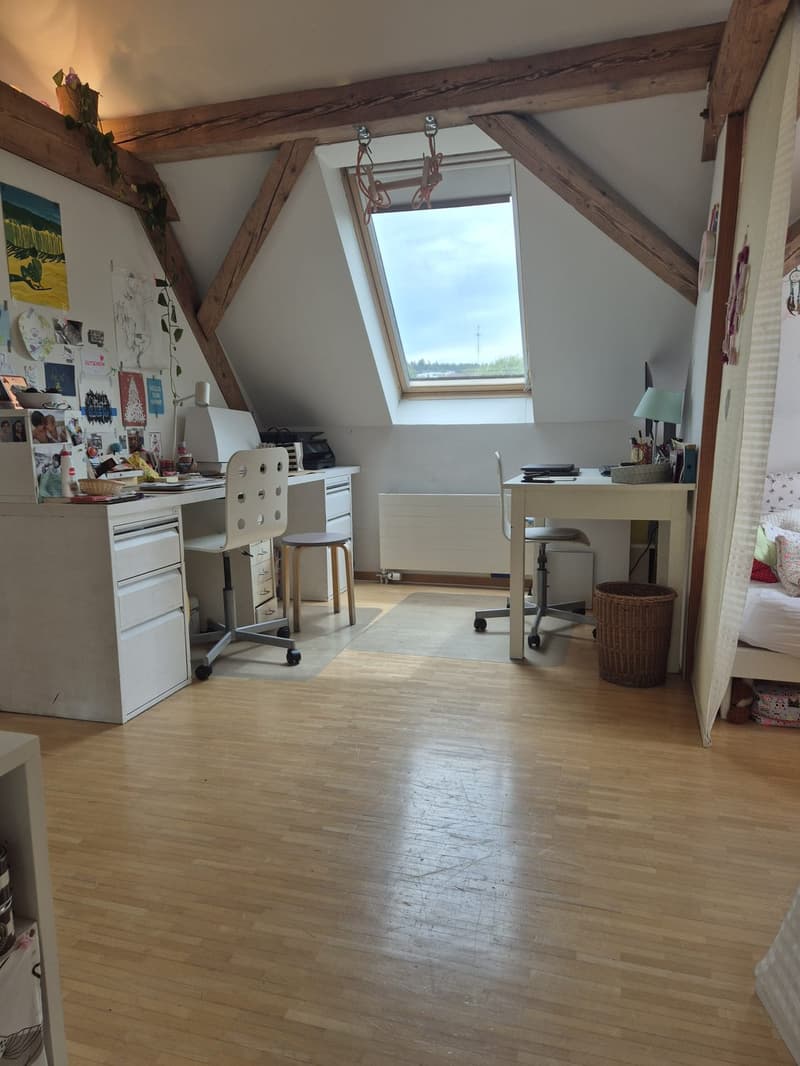 Appartement 4 ½ pièces, 8125 Zollikerberg (9)